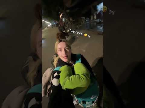 #india #solotravel #travelindia #solotravelindia #travelvlog #travelshorts