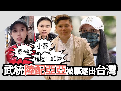 雙標：台灣驅逐武統網紅亞亞在台灣，言論自由不存在嗎？論自由世界的醒覺，20250326