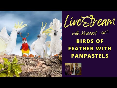 Livestream - Painting Cockatoos with PanPastels