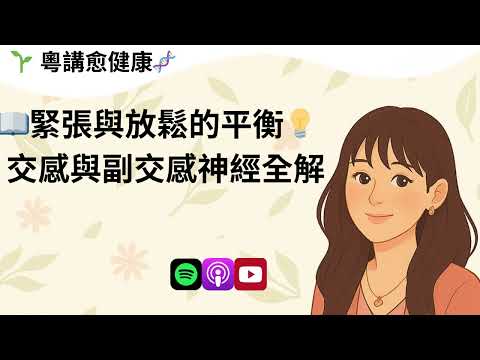 緊張與放鬆的平衡：交感與副交感神經全解