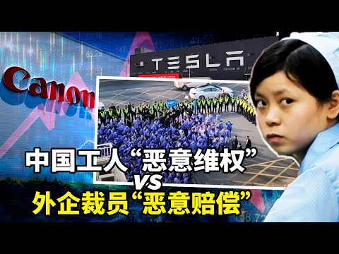 2025年底全国罢工潮爆发：深圳易力声3000人罢工：不是要加班，是被逼活不下去！佳能、特斯拉N+22 “恶意赔偿” vs 国内一分钱不给：谁才是恶意？