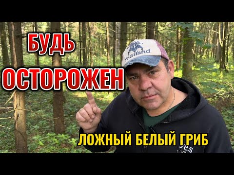 Ложный белый гриб