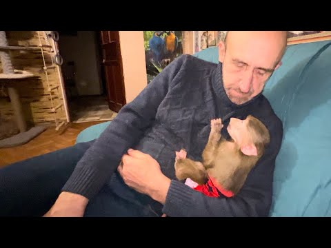 We have BAD NEWS, our Manya is having seizures every day again!