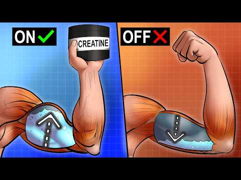 What Happens After Stopping Creatine