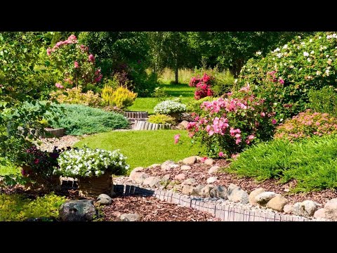 12/15/2025 A garden with an eye on summer.