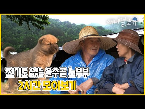 맨손으로 뱀을 잡고 벌을 만지는 할아버지?! 노부부가 사는 산골짜기에 드디어 전기가 들어오려 한다!🔌| 을수골에 불이 밝으면 | 인간극장 2012 방송