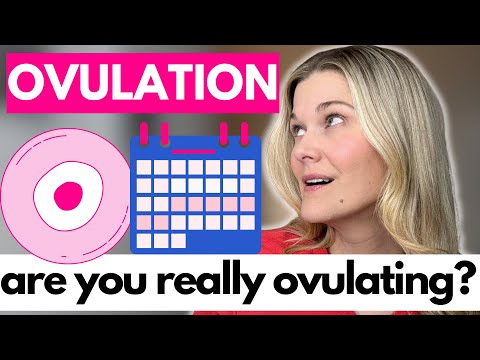 Ovulation 101: How to Know If It’s Actually Happening + Best Ways to Track Fertility