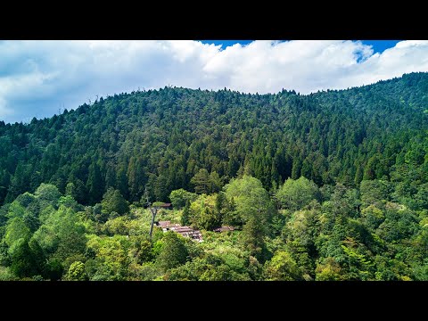 2018 道綺作品：在森林中。嵐山工作站（完整版）- 中文（4K）