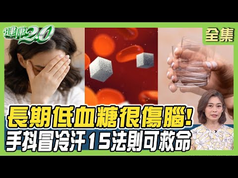 長期低血糖會傷腦 最嚴重昏迷！低血糖手抖冒冷汗 15法則可救命！ 健康2.0 20240519【完整版】鄭凱云 吳鴻誠 陳欣湄 梁惠雯 吳映蓉 陸巧因@tvbshealth20