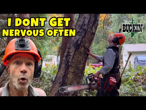 The SCARIEST Tree of The Year