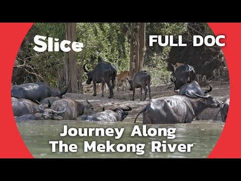 The Ever-changing Landscape of Cambodia | SLICE | FULL DOCUMENTARY
