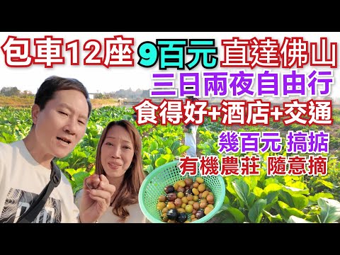 超值佛山三天遊 幾百蚊玩三日 每餐有驚喜 千燈湖 祖廟醒獅 潮曼湖景酒店 有機農場 葉問紀念館 文化之旅 黃飛鴻紀念館 三日兩夜旅行團 三天旅行團 純玩團 佛山千古情 短線旅行團