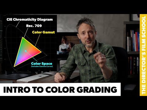 Introduction to Color Grading | Color Spaces & Gamuts | SDR & HDR