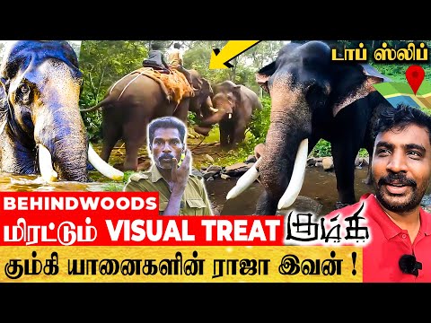 பாசத்துக்கு பாகுபலி! கோவத்துக்கு கொம்பன் இந்த கபில்தேவ்! காட்டையே மிரட்டும் ஒரு கும்கி ராஜாவின் கதை