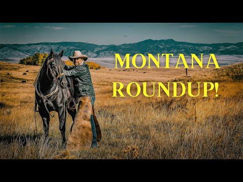 Real Montana Ranch Round Up! Shipping Time