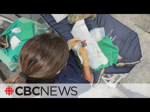 One doctor on shift: Inside Ontario's ERs in crisis