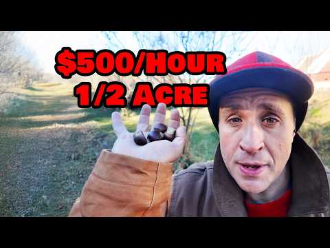 How I Make $500/Hour Growing Trees (Half Acre Tree Farm)
