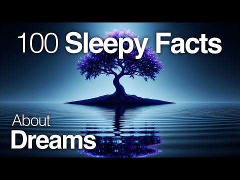 The Most Relaxing Facts About Dreams to Fall Asleep To