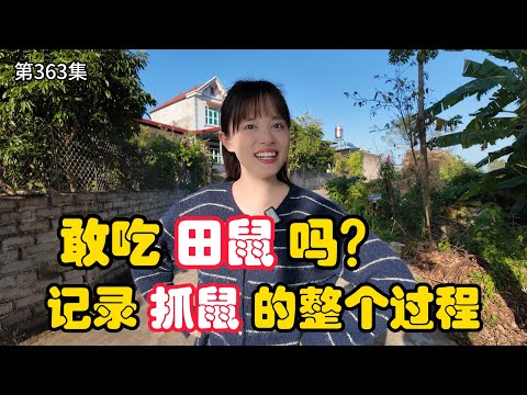 第363集，大家敢吃 田鼠吗？记录在越南 抓老鼠的整个过程!