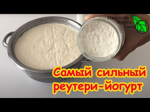 LACTOBACILLI YOUTH WITHOUT YEAST AND INULIN: Let's prepare reuteri in a new way. It can do this too!