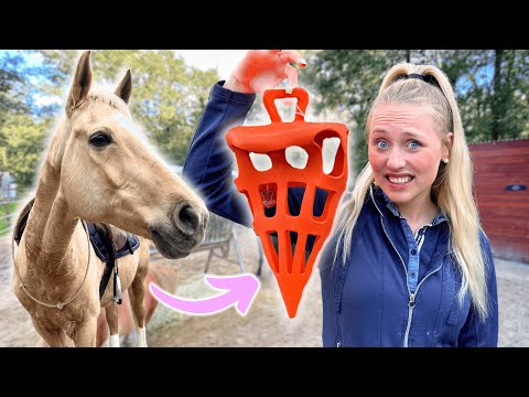 Ich teste PFERDESPIELZEUGE