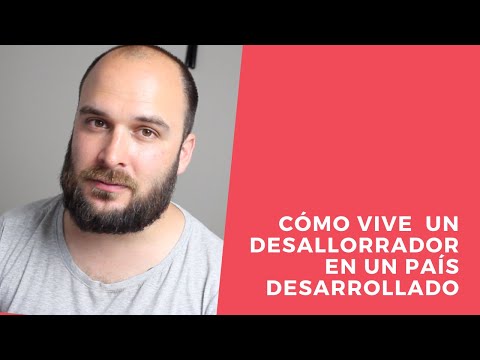Como se vive como desarrollador en un país desarrollado (Nueva Zelanda)