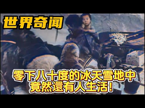 紀錄片：零下八十度的冰天雪地中，雪橇犬都凍死了，竟然還有人生活！紀錄片解說#世界奇聞#奇聞#紀錄片