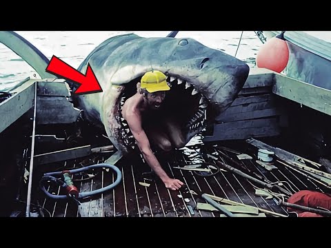 Rare Photos From the Past That Will Tell Stories Beyond Words