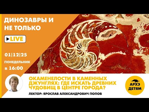 Занятие "Окаменелости в каменных джунглях: где искать древних чудовищ в центре города" Ярослав Попов