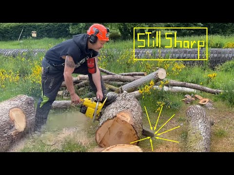 Chainsaw tips , How to Buck Logs on the Ground