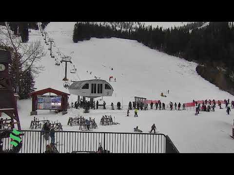 Schweitzer Webcam: The Village