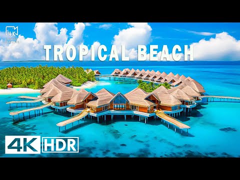 Tropical Beach In 4K - Bali, Maldives, Bora Bora: The Most Beautiful Beaches in the World 🏝️✨