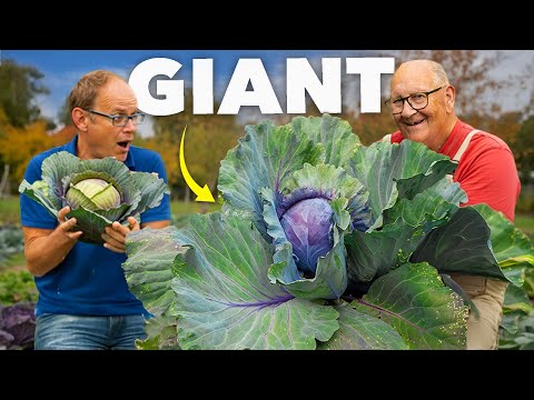 How This Prize-Winning Expert Grows GIANT Vegetables