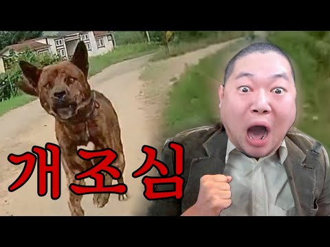 감스트 GTA5 세상에 나쁜 개는 없다