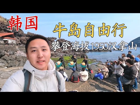 一口气玩转韩国,牛岛、济州岛、汉拿山自由行攻略!【痒痒看世界】#韩国 #济州岛 #牛岛 #济州岛攻略 #韩国 #免签 #汉拿山