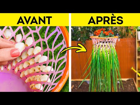 Comment cultiver vos propres aliments frais à la maison 🌱🏡 Astuces géniales pour le jardinage !