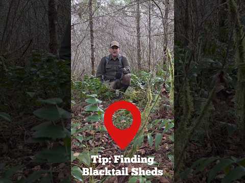 Tip: Finding Blacktail Sheds  #blacktail #deer #sheds