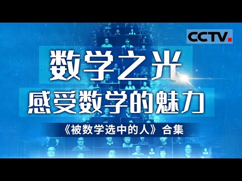数学是什么？我们为什么要学数学？通过对数学家们的访谈 一起了解“被数学选中的人”是如何看待数学以及科学演进【CCTV纪录】