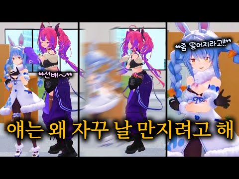 바깥 세상에 나오면 한없이 나약해지는 토끼 선배 - 페코&비비 3D 오프콜라보【홀로라이브 // 우사다 페코라, 키키라라 비비】
