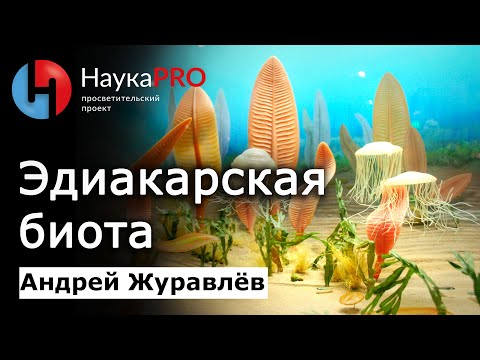 Как развивалась жизнь на Земле: эдиакарская биота – Андрей Журавлёв | Лекции по палеонтологии