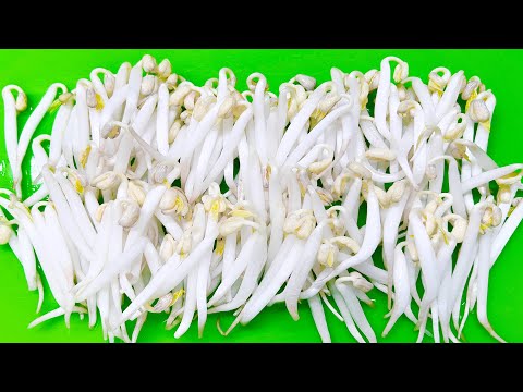 Found the Cause of Grow Mung Bean Sprouts No Pink