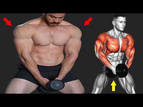 upper body workout at home - Best Exercises for Faster Results 👌