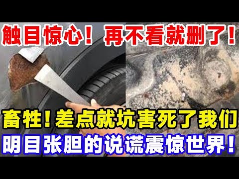 觸目驚心！再不看就刪了！畜生！差點就坑害死了我們，明目張膽的說謊震驚世界！ #特斯拉 #比亞迪 #汽車俱樂部