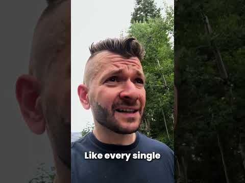 AI is Replacing Jobs—Here’s How to Stay Indispensable