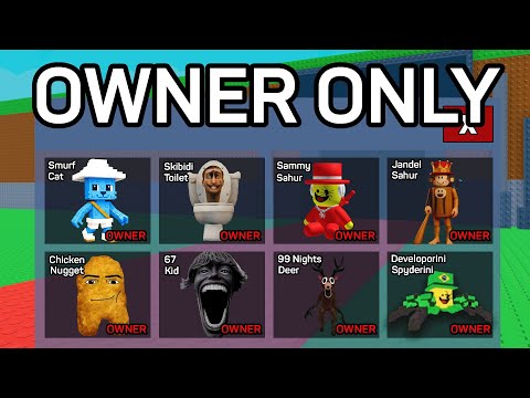 I Got EVERY OWNER Brainrot..