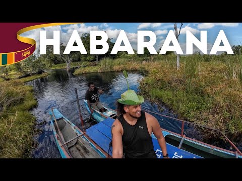Habarana Village Tour 🇱🇰 Sri Lanka