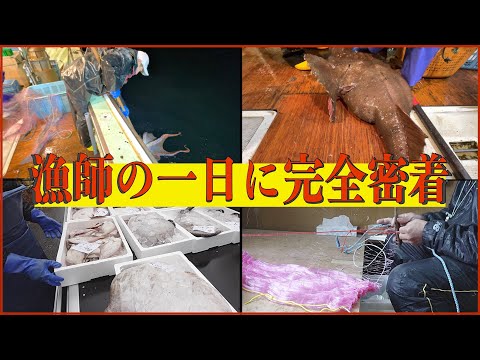 【1日の収益公開】刺し網漁師の漁について行ったら大物連発。｜日本海 増毛｜