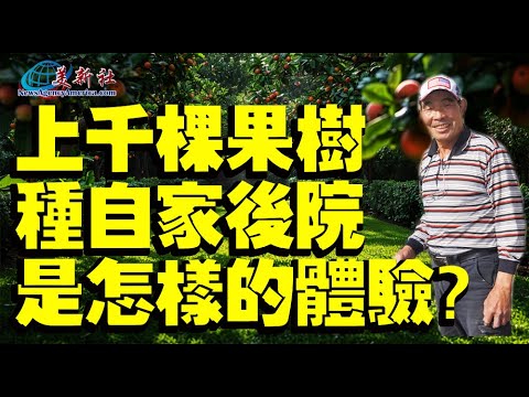 Unbelievable! One Man Planted Over 1,000 Fruit Trees at Home