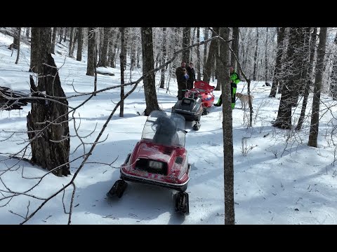 2021-2022 snowmobile riding
