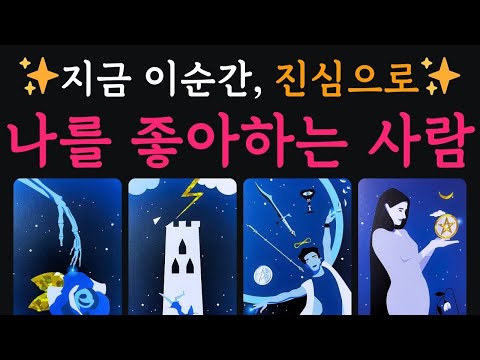 [타로연애운] 지금 나를 좋아하는 사람 ✨ 짝사랑/썸/애매한관계/재회/구페/뉴페 모든관계 ♥️ #연애운 #속마음 #운명 #인연